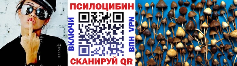 Псилоцибиновые грибы ЛСД  где найти   Талица 